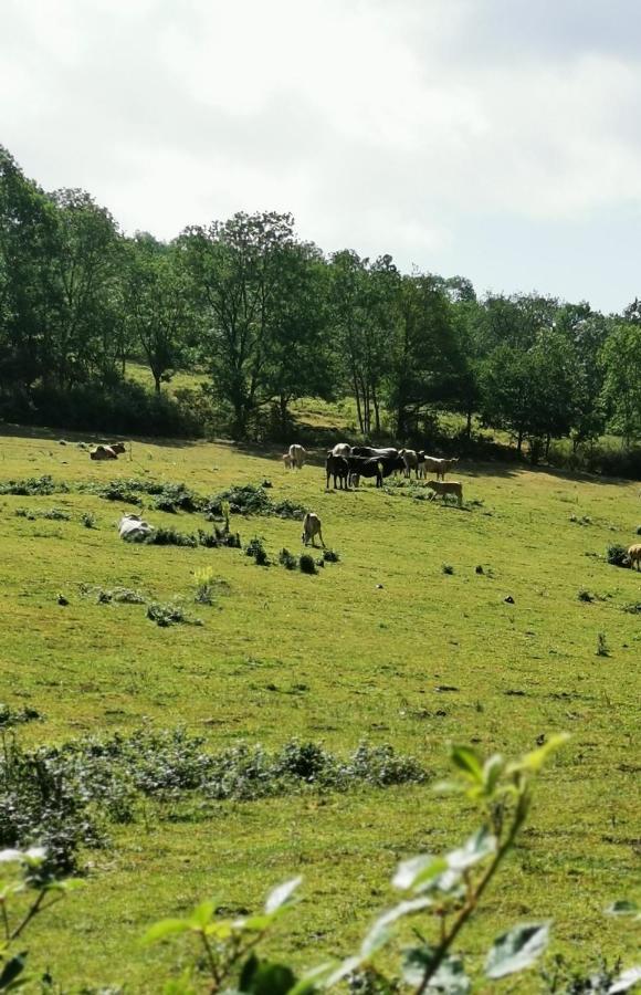 Sourcieux-les-Mines Evasion Nature Et Convivialite מראה חיצוני תמונה